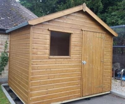 Stained apex shed with a single window