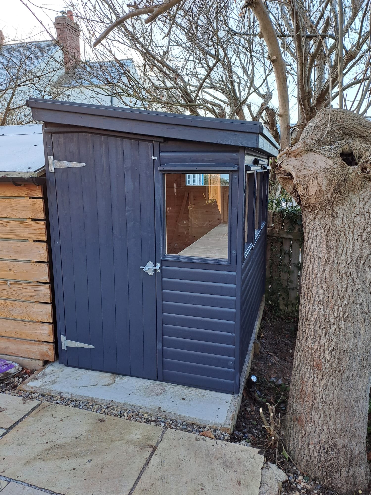 Navy painted pent shed beside an old tree